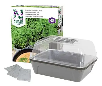 Kökets kryddor, dill