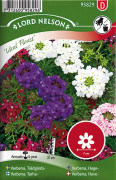 Verbena, Trädgårds- 'Ideal Florist'
