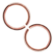 2-pack Roséguld Fake Piercing Öron Läpp Näsring Septum Läppring