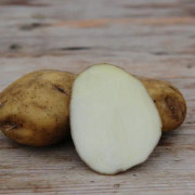 Potatis - Early Puritan 1 kg