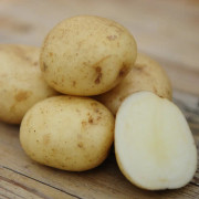 Potatis - Casablanca EKO 1 kg
