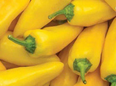 Paprika ´Lemon Dream´ 3 st frön
