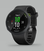 Forerunner 45
