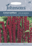 Rävsvans (Amarant) 'Love Lies Bleeding', frö