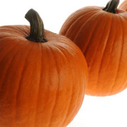 Halloweenpumpa 'Jack of all Trades' yrkesodlarfrö