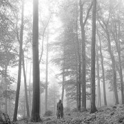 Folklore (2LP)