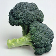 Broccoli 'Ironman' F1 yrkesodlarfrö