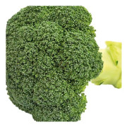 Broccoli F1 "Aquiles" 10 frön