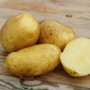 Potatis- Nicola 1kg