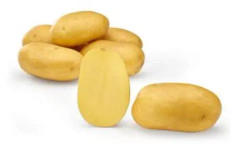 Potatis - Lea 1kg