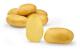Potatis - Lea 1kg