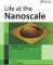 Life at the Nanoscale