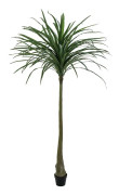 Europalms - Dracena, green, artificial, 220cm