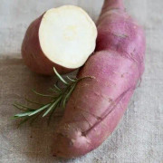 Sötpotatis 'Erato White' - 3 plantor