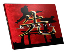 Karate 3D