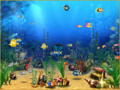 Exotic Aquarium 3D