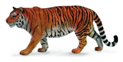 Sibirian Tiger