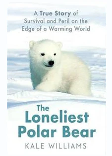 Loneliest Polar Bear