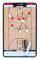 vidaXL Dubbelsidig taktikplatta för basket 35x22 cm