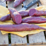 Sötpotatis 'Erato Violet' - 3 plantor