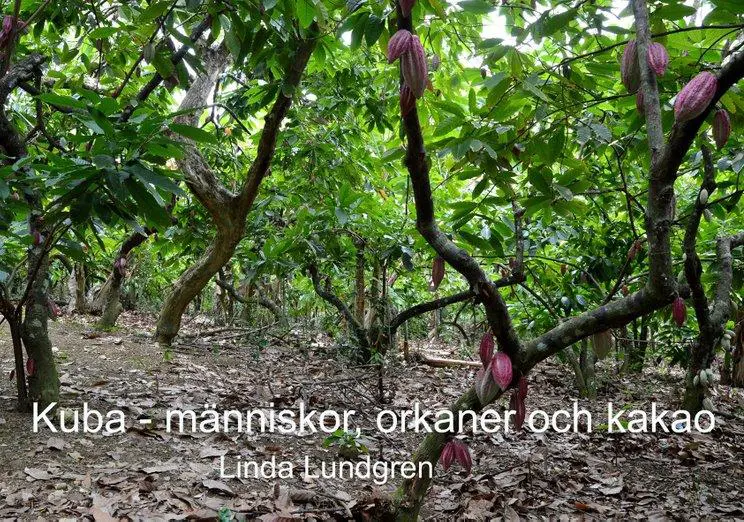 Kuba : människor, orkaner och kakao 9789163974670