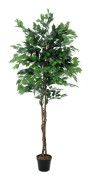 Europalms - Ficus Tree Multi-Trunk, artificial plant, 210cm