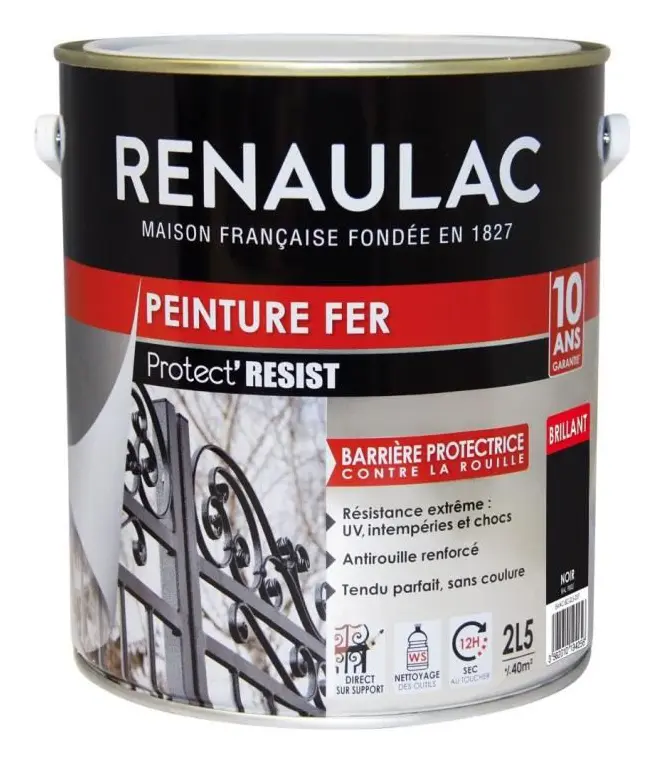 RENAULAC Black Iron Paint - Glans - 10 års garanti - 2,5L - 40m² / kruka