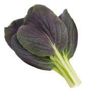 Pak Choi Red Inferno 50 frön