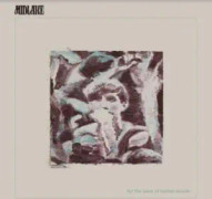 Midlake - For The Sake Of Bethel Woods (LP)