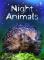 Night Animals