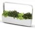  Kitchen Garden TREGREN T12 Vit