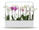  Kitchen Garden TREGREN T12 Vit