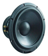  Visaton TIW-300