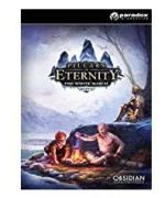Pillars of Eternity: The White March (Expansion) (pc)