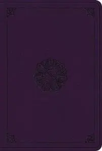 ESV Value Large Print Compact Bible
