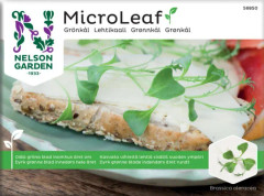 Micro Leaf 'Grönkål'