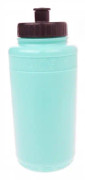 ACE Green Bottle 550ml