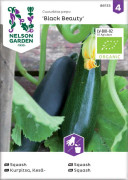 Squash Nelson Garden