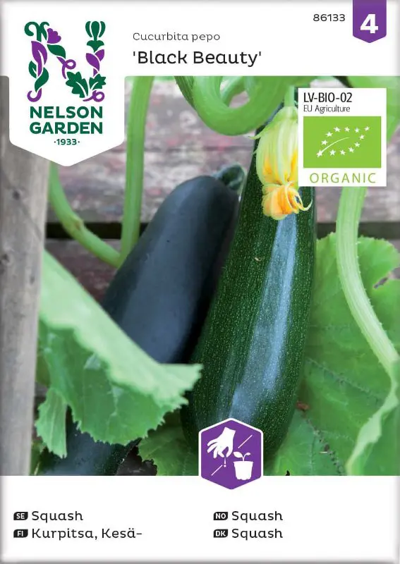 Squash Nelson Garden