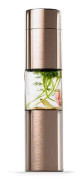 Asobu Flavor U see, 430 ml, Daglig användning, Guld, Transparent, Rostfritt stål, 12 h, Skruvlock