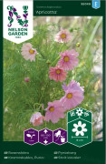 Rosenskära 'Apricotta' frö