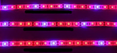 Led Strip Light