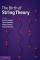 The Birth of String Theory