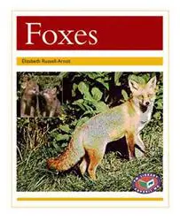 Foxes
