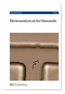 Electroanalysis at the Nanoscale