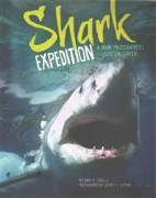 Shark Expedition: A Shark Photographer's Close Encounters