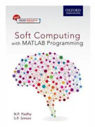 Soft Computing: With Matlab Programming