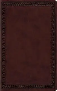 ESV Large Print Value Thinline Bible