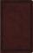 ESV Large Print Value Thinline Bible