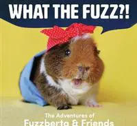 What the Fuzz?!